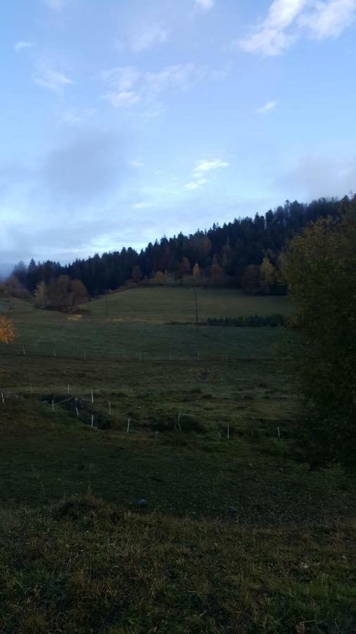 Residence Vallee Des Lacs Le Tholy Dış mekan fotoğraf